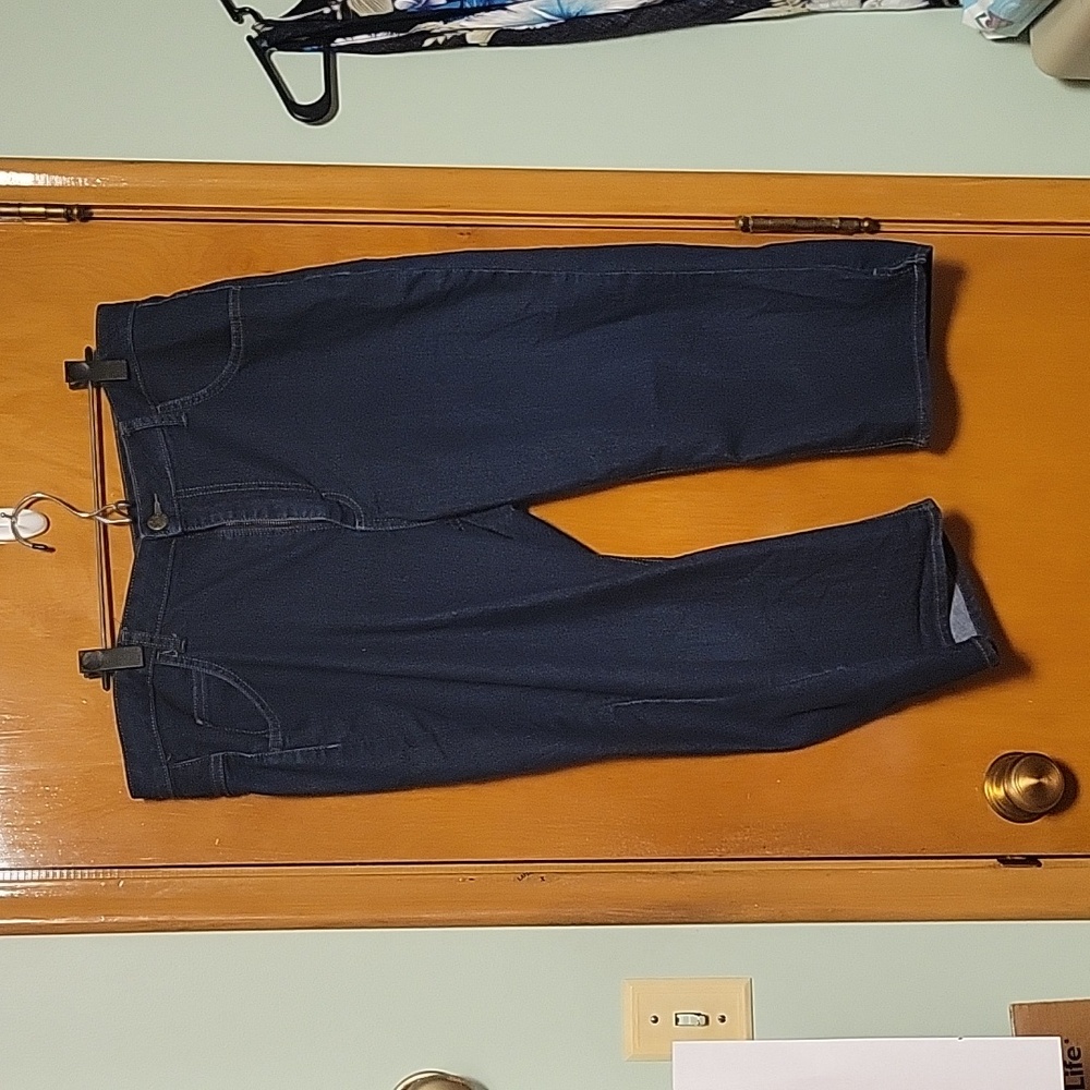 Ryder's by Lee Capri's sz 18